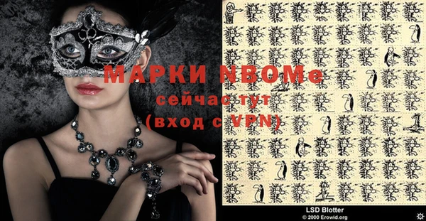 PSILOCYBIN Тайга