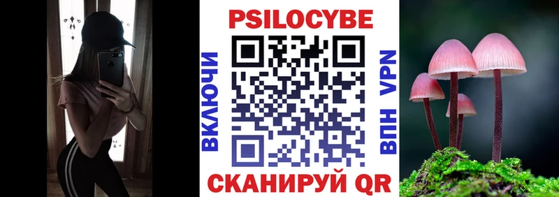 Галлюциногенные грибы Psilocybine cubensis  Малмыж 